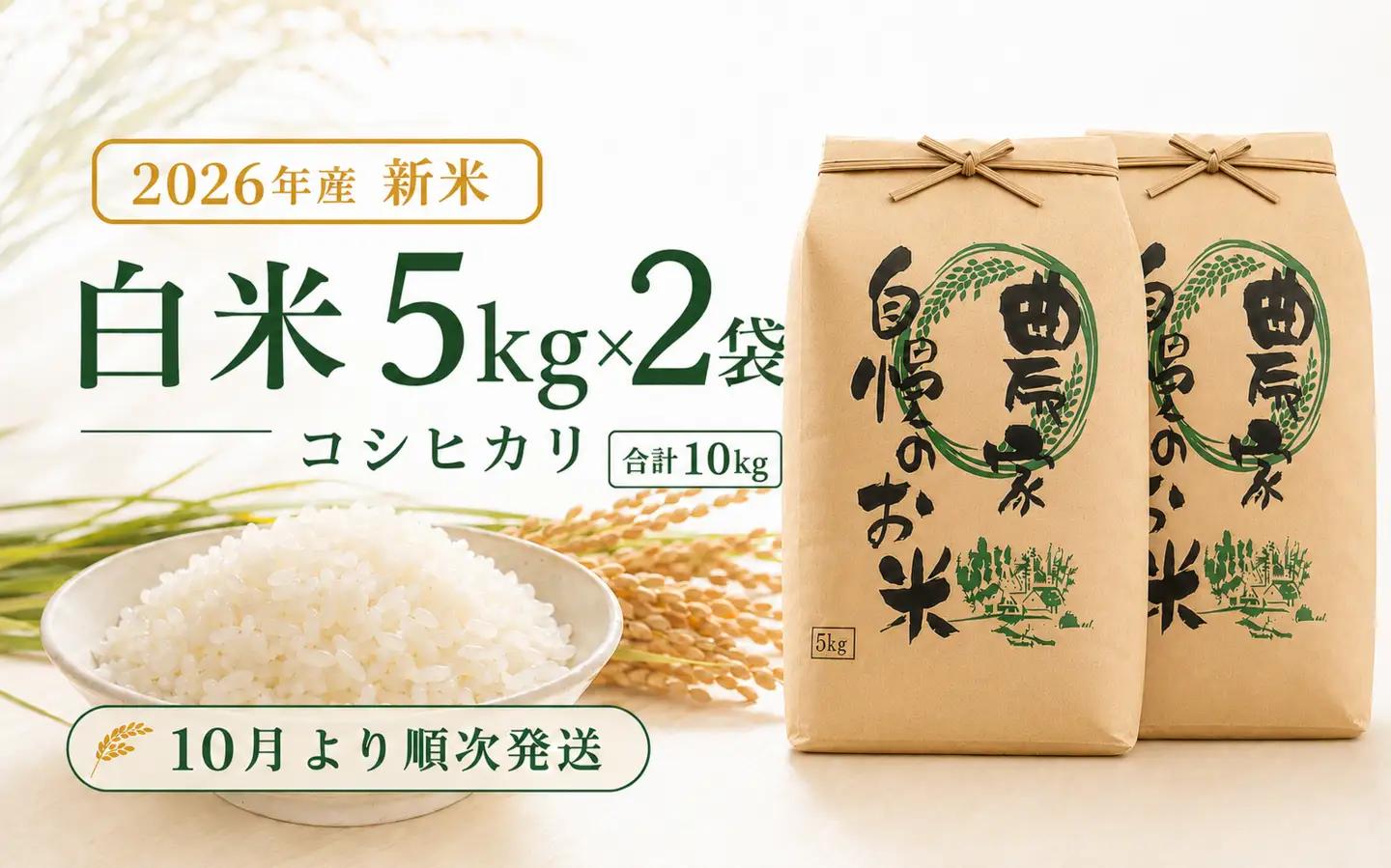 限定100件 【新米・先行予約】こしひかり 10kg 信濃町産 令和8年 精米 1等米比率9割超の信州米 2026年10月上旬発送予定 黒姫山麓 長野県信濃町