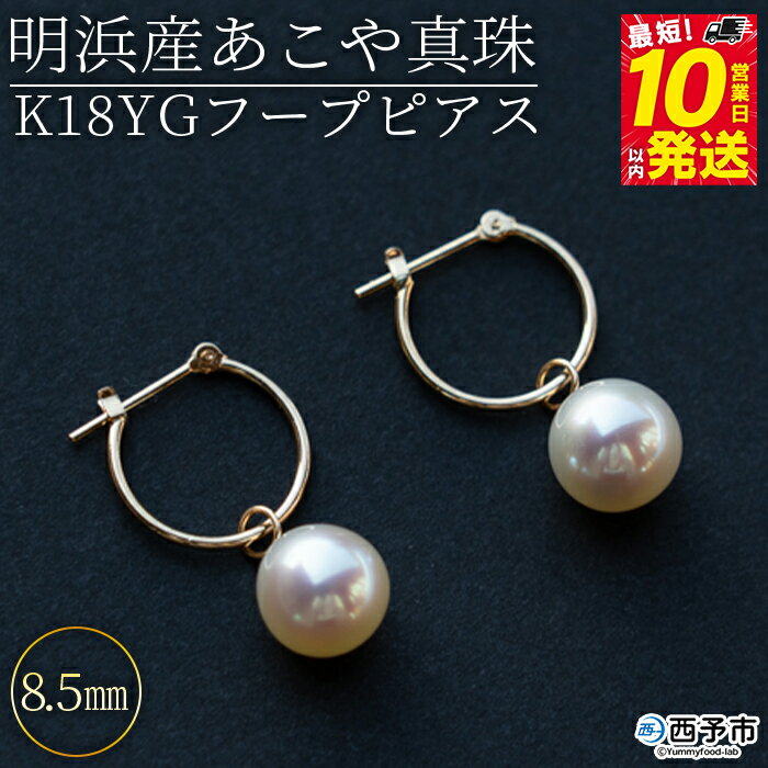 【ふるさと納税】＜明浜産あこや真珠8.5mm K18YGフープピアス＞『最短10日営業日以内に発送』アコヤ真珠 パール パールチャーム ジュエリー アクセサリー プレゼント ギフト 贈答 記念日 品質保証書付き ナチュラルカラー シンプル PRAY akoyapearl 愛媛県 西予市 【常温】