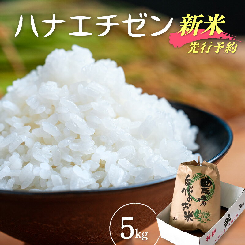 【ふるさと納税】【楽天限定】令和8年【新米】ハナエチゼン 5kg 福井県産【華越前 はなえちぜん 人気品種 こしひかり 血統品種】【 玄米 対応可 】【2026年8月下旬以降発送開始！】 [e35-a049]