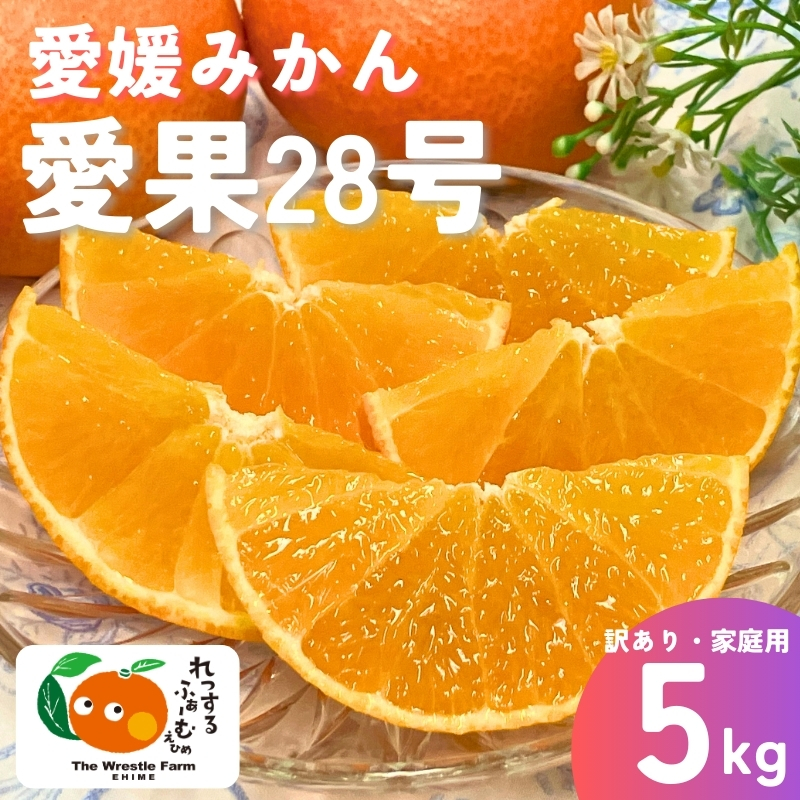 みかん 愛媛県 愛果28号 5kg ご家庭用 訳あり レッスルファーム 紅まどんなと同一品種【2026年11月下旬から順次発送予定】先行予約 数量限定 おすすめ 美味しい おいしい グルメ フルーツ くだもの 愛媛県産 人気 柑橘 伊予市｜B251