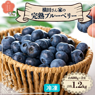 【ふるさと納税】横田さん家の冷凍完熟ブルーベリー　2パック【配送不可地域：離島・沖縄県】【1085839】