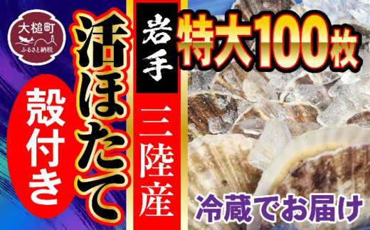 
■朝獲れ三陸活ホタテセット (特大 100枚)生食用
