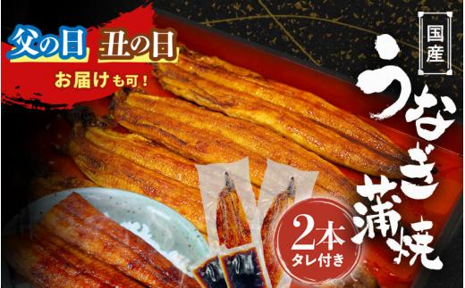 
                  【発送時期が選べる】国産うなぎ蒲焼（２本）タレ付き /  和歌山 田辺市 国産 国産うなぎ 国産鰻 うなぎ 鰻 鰻丼 うな丼 土用の丑の日【ots016oya】
                