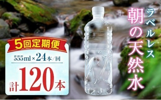 【定期便】 シリカ 朝の天然水 555ml 24本 5回 ラベルレス 中硬水 ミネラルウォーター シリカ水 ケイ素 常温保存 備蓄 防災 宮崎県 霧島連山