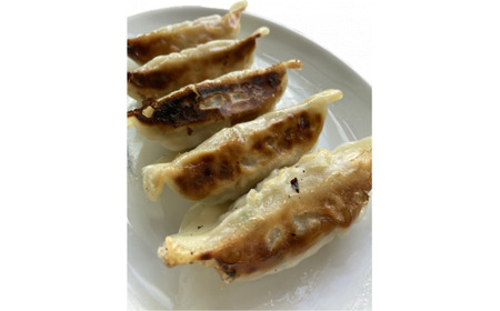 I70　冷凍もちぶた餃子（30個入×2袋）