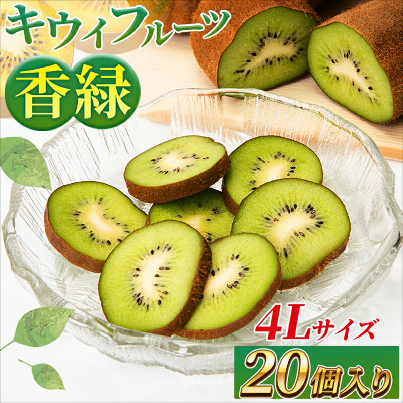 【ふるさと納税】希少キウイフルーツ 「香緑」。4Lサイズ 20個入り 糖度16度。甘くておいしい＜出荷時期：2025年12月15日出荷開始～2026年1月15日出荷終了＞｜キウイ フルーツ 果物 くだもの 神奈川県 南足柄市