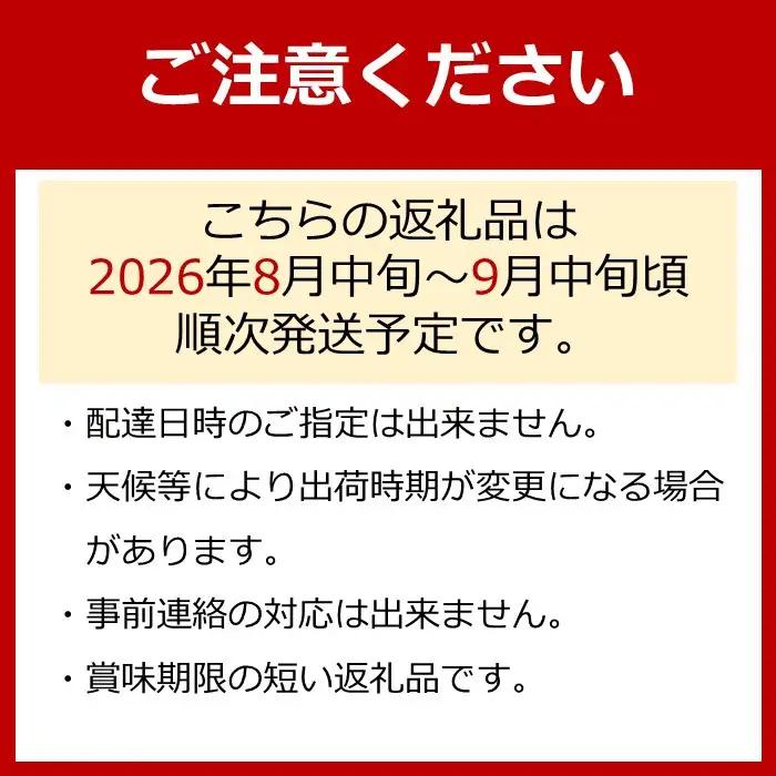 【先行予約】朝採り 巨峰 約2kg (4～6房) 有田巨峰村 大南農園　| ぶどう 巨峰 ぶどう【2026年8月中旬頃より順次発送】