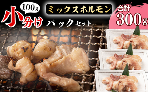 【45営業日以内配送】《 お試しにちょうどいい》焼肉店でも人気の国産牛ホルモンMIXが100g×3パック！　006-D-YL001