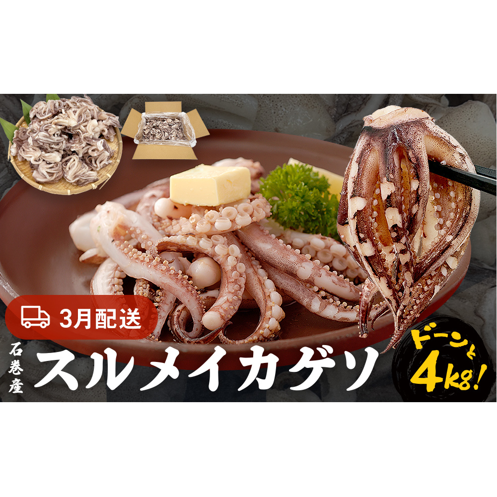 訳あり 石巻産スルメイカゲソ 4kg 3月配送 冷凍 国産 いか 下足 おつまみ ゲソ天 焼イカ おかず