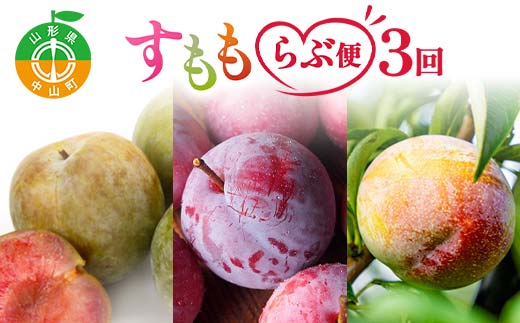【2026年 先行予約】3回定期便 すもも らぶ便 果物 くだもの 山形県 中山町 F4A-0484