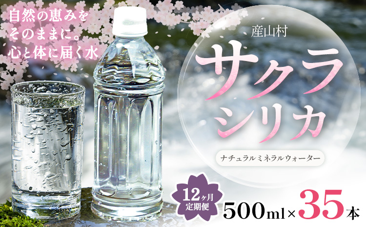 【12ヶ月定期便】サクラシリカ 500ml 35本 定期便 みずの里《お申込み翌月から出荷》熊本県 阿蘇郡 産山村 ミネラルウォーター シリカ 水 天然水 鉱水 ラベルレス ラベルなし