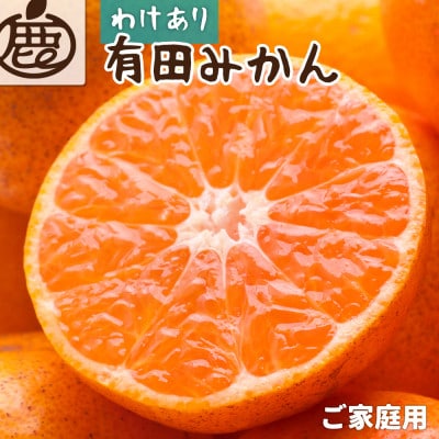 家庭用 有田みかん10kg+250g(傷み補償分)【光センサー選果】【訳あり】【配送不可地域：離島・北海道・沖縄】【1625380】
