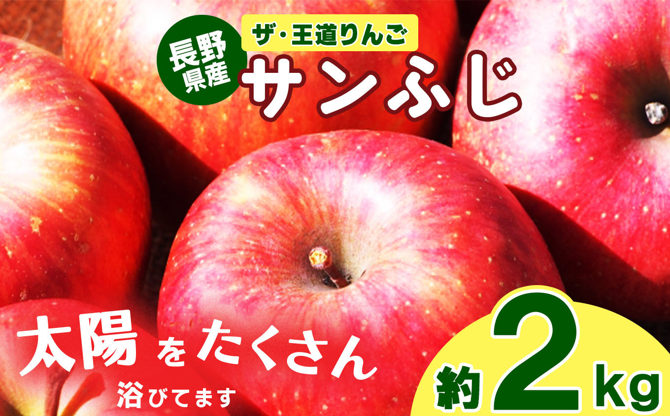 
ザ・王道 りんご サンふじ 約2kg | 果物 フルーツ りんご リンゴ 林檎 信州りんご 信州産 長野県産りんご ふじ サンふじ 千曲市 長野県 先行予約
