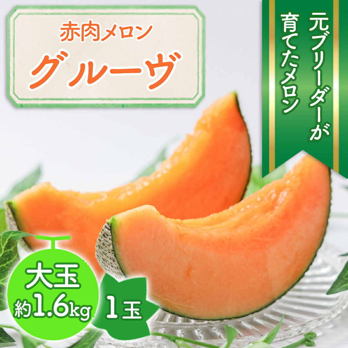 【ふるさと納税】＜6月〜7月頃発送＞自慢の赤肉メロン 1玉「グルーヴ」／フルーツ 果物 赤肉 季節限定 数量限定 期間限定 先行予約 石川農場