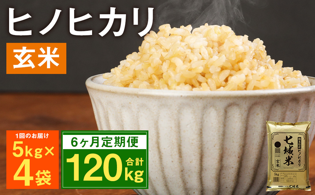 
            【定期便6ヶ月】熊本県菊池産 ヒノヒカリ 玄米 計120kg（5kg×4袋×6回）米 お米 残留農薬ゼロ 低温貯蔵
          