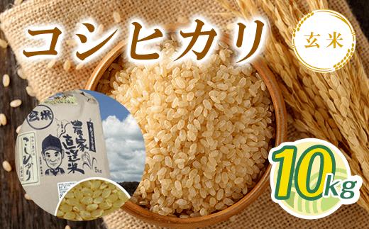 【新米】令和6年産 コシヒカリ玄米 10kg T01531