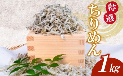 特選 かちり 1kg かちりじゃこ 人気かちり ちりめん じゃこ しらす シラスごはん 小分け 魚 冷凍 産地直送 ご飯のお供 ふりかけ 漁師 おつまみ 高知県 須崎市 日本酒 おつまみかちり 国産 高級 人気 便利 お手軽 家庭用 祝い 記念日 父の日 敬老の日 ギフト お取り寄せ かちり国産 kachiri KACHIRI sirasu SIRASU chirimen TKM019-x