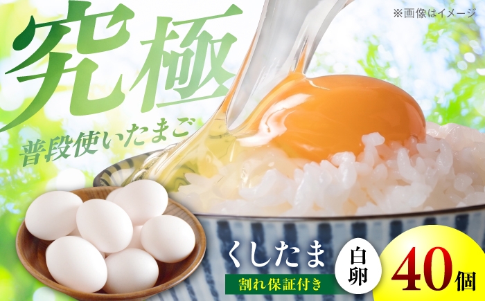 
                  くしたま白卵 40個（36個＋割れ保証4個）/ 卵 たまご 鶏卵 白卵 / 稲沢市 / 櫛田養鶏場 [BMAY005]
                