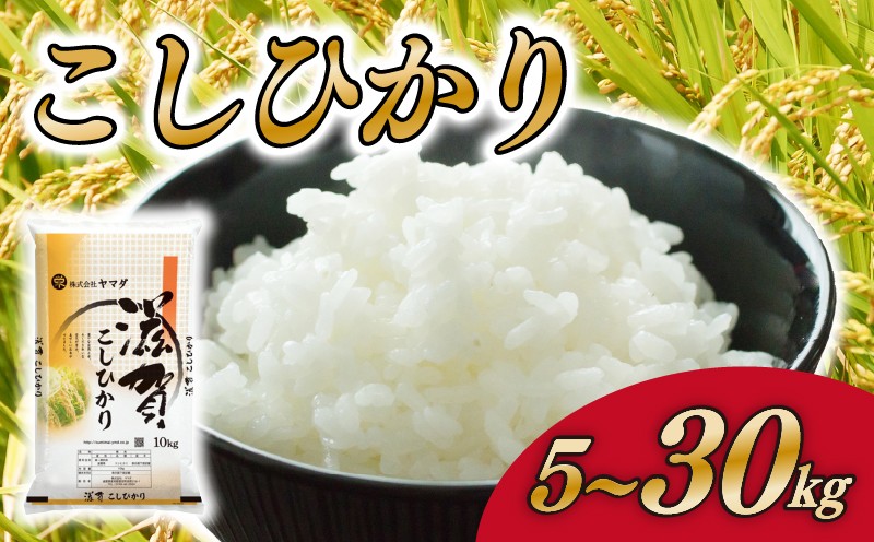 
                  コシヒカリ 5kg 10kg 20kg 30kg  お米 こしひかり 精米 白米 米 国産 単一米 こめ コメ おこめ ご飯 ごはん  選べる 容量 近江米 お弁当 送料無料 滋賀県 愛荘町
                