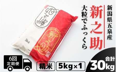 【令和6年産新米】〈6回定期便〉新之助 精米 5kg（5kg×1袋）［2024年10月上旬以降順次発送］ 有限会社ファームみなみの郷