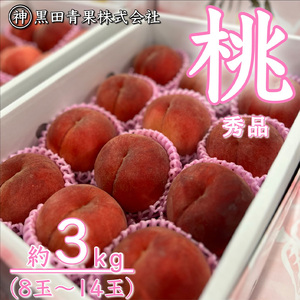 山形産 白桃 秀 3kg(8玉～14玉)【令和8年産先行予約】FU23-315 くだもの 果物 フルーツ 山形 山形県 山形市 2026年産