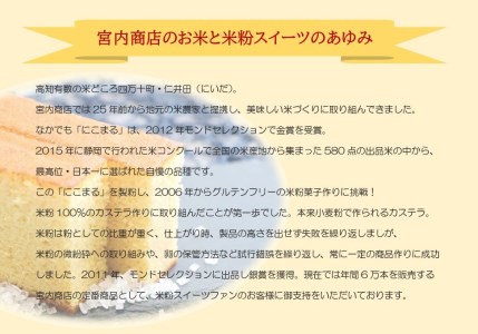 四万十の米粉カステラ【龍馬の太鼓判】プレーン＆四万十の緑茶半斤2本セット／Bmu-A38