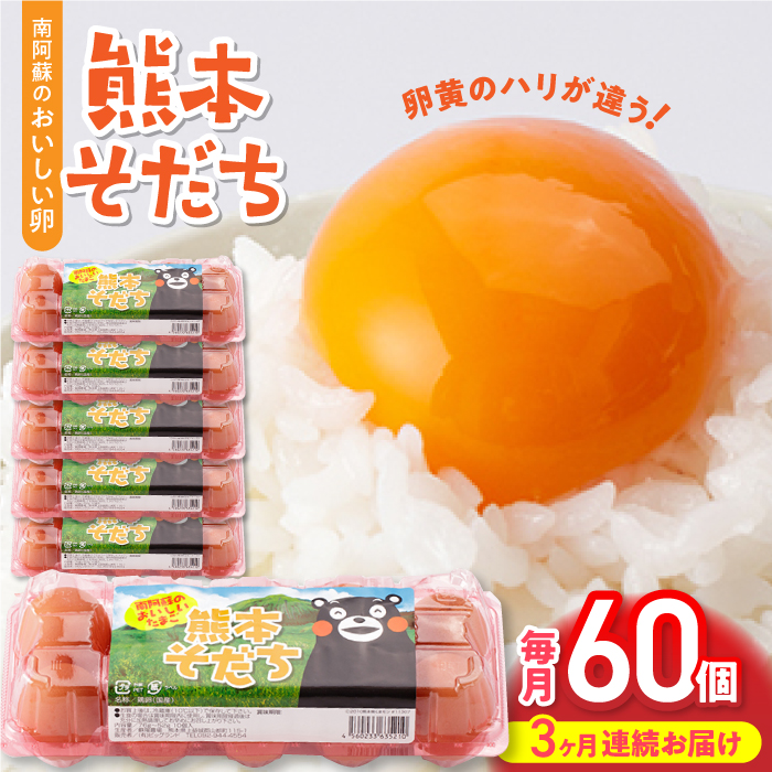 【全3回定期便】熊本県産 熊本そだち 60個入り ( 10個入り × 6パック ) 山都町 たまご 卵【蘇陽農場】 [YBE034]