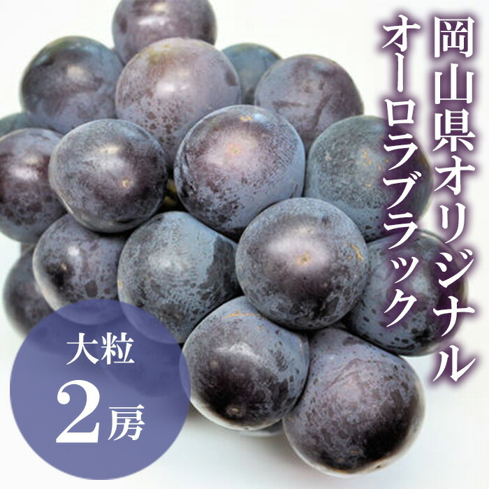 【ふるさと納税】岡山県産 ぶどう 葡萄 ブドウ 種無しぶどう オーロラブラック 2房 果物 スイーツ フルーツ お取り寄せ ギフト 贈答用 デザート 旬 オーロラブラック 2房(1房480g以上) 化粧箱入り【2026年8月下旬～9月下旬発送予定】