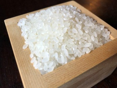 令和8年産新米　丹波篠山の山水で栽培！有機コシヒカリ5kg BF02 白米 100％単一原料米