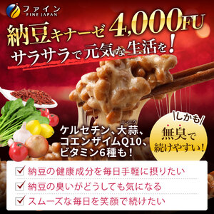 F-63　[ファイン]納豆キナーゼ ２個セット