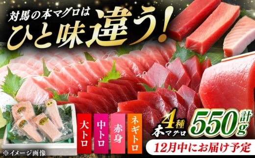 【12月中にお届け】対馬産 本マグロ 4種 計550g（赤身/中トロ/大トロ/ネギトロ）《対馬市》【対海】[WAH003-12] 