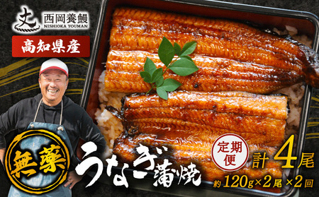 【 うなぎの蒲焼き 】 うなぎの蒲焼 定期便 計4尾 ( 120g × 2尾 × 2回 ) 