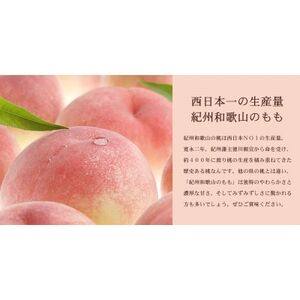 和歌山の桃 秀品 約3.8～4kg (サイズ・品種おまかせ) フルーツ 産地直送【配送不可地域：離島・北海道・沖縄県・東北・関東・九州】【1564632】