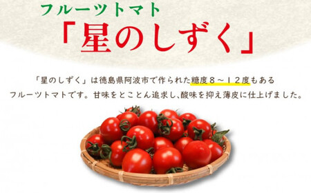 フルーツトマト 定期便 600g 3回 先行予約 2024年11月上旬 ～ 順次出荷 野菜 トマト 薄皮 星のしずく 完熟 高糖度 糖度 8度 スイーツ ジュース パスタ ソース サラダ ギフト 贈答