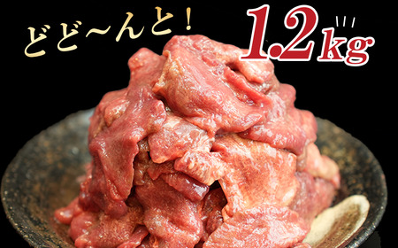 牛タン【訳あり】切り落とし 牛たん1.2kg　【04209-0186】 牛タン 焼肉 牛肉 牛たん 牛タン塩 牛たん塩 牛タン 訳あり 牛タン 焼肉 牛タン 牛肉 牛たん 牛タン 牛たん塩 牛タン 訳