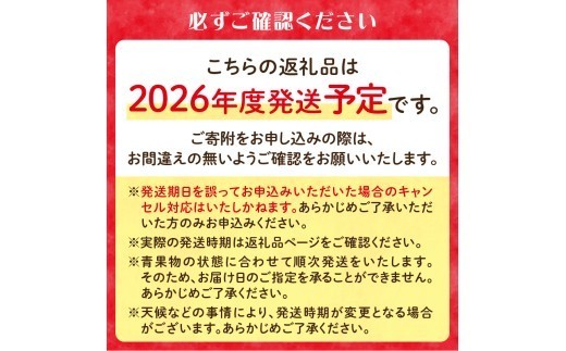 《先行受付》贈答規格 旬のりんご詰合せ約3kg（サンふじ確約3種以上）特秀～秀 大江町産【2026年12月上旬頃～発送予定】
