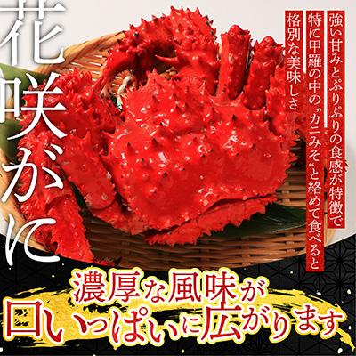 ふるさと納税 根室市 ＜12/21まで年内配送＞花咲がに1尾、毛がに1尾セット A-54004 |  | 02