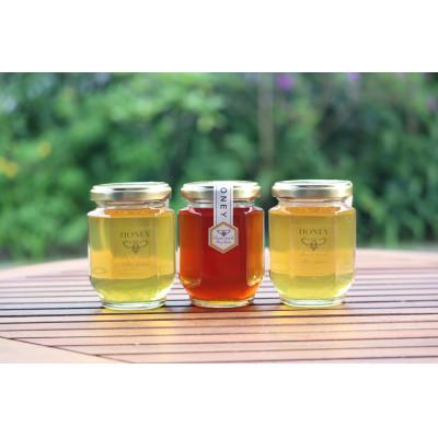 ふるさと納税 宮崎市 2025年産【希少!宮崎産非加熱ハチミツ】3本セット　ブォンミエーレ春のはちみつ160g×3