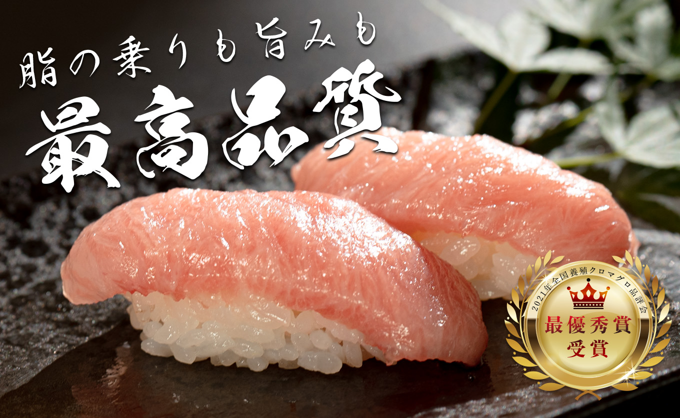 訳あり まぐろ マグロ 本鮪 黒潮本まぐろ 大トロ 定期便 6回 500g × 6回 刺身 さしみ 最優秀賞 全国養殖クロマグロ品評会 受賞 魚 魚介類 海鮮 柵 サク 冷凍 お取り寄せ 産地直送 ギ