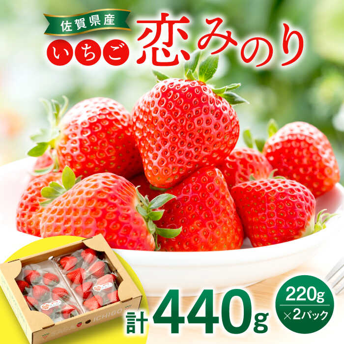 【ふるさと納税】【2026年発送分 先行予約】佐賀県産いちご 恋みのり 220g×2パック / イチゴ 苺 フルーツ 果物 / 佐賀県 / 鐘ヶ江農園 [41ASBK001]
