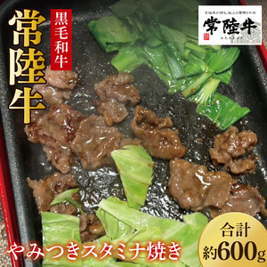 【数量限定】イチオシ！！常陸牛やみつきスタミナ焼600g(MJ-2)