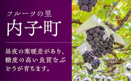 赤ワイン (山ぶどう) 約720ml 2本 BKAG015 ワイン