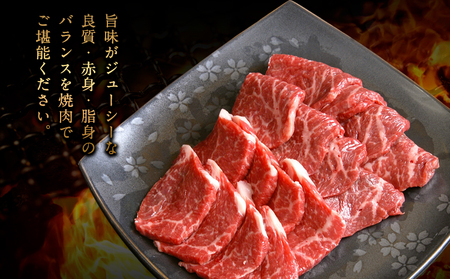 【5ヶ月定期便】牛肉 くまもと黒毛和牛 焼肉用 500g 定期便 5回 株式会社KAM Brewing《お申込み月の翌月から出荷開始》