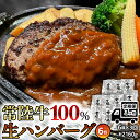 【ふるさと納税】【3ヶ月定期便】 黒毛和牛 常陸牛 100% 特製 プレミアム 生ハンバーグ 120g×6個入り 合計720g 八千代町産 白菜 使用 無添加 無着色 保存料不使用 冷凍 牛 牛肉 ビーフ 生 ハンバーグ こだわり