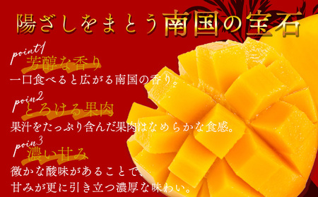 ＜宮崎県産 完熟マンゴー 2L 合計2玉＞入金確認後、2025年7月初旬迄に順次出荷【選べる 大きさ サイズ 国産 かんじゅく とろける 果物 果実 フルーツ 南国 芳醇 甘い 旬 濃厚 贈り物 プレ