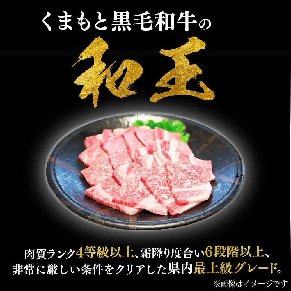 くまもと 黒毛和牛 和王 肩ロース 焼肉用 約800g（約400g×2P）ロース焼肉[AYBR027]