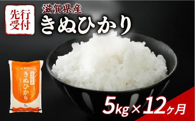 【令和8年産 新米】先行予約 きぬひかり 5kg 12回定期便 新米