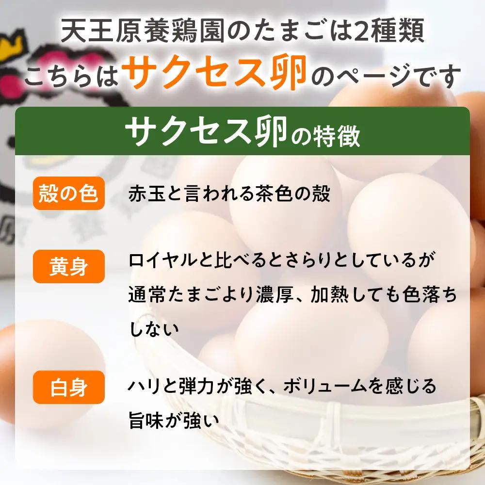 【定期便】３回定期 【天王原のたまご】 サクセス卵 50個入り