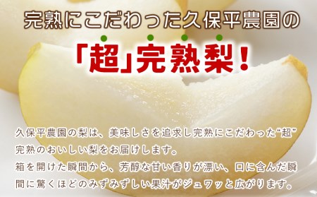 【先行予約】【数量・期間限定】久保平農園の源流山育ち完熟新高梨 5kg 産地直送 果物 なし 梨 箱入り 大分県 中津市