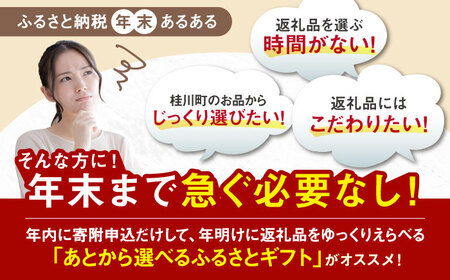 【あとから選べる】桂川町ふるさとギフト 30万円分[ADBV009]
